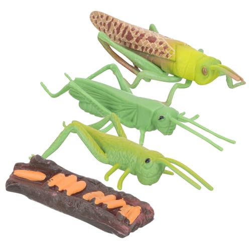 VICASKY Tierischer Wachstumszyklus Modell Lernspielzeug Biologisch Realistische Tierlebenszyklus Figuren Montessori Frühpädagogik Geschenk VICASKY Tierischer Wachstumszyklus Modell Lernspielzeug Biologisch Realistische Tierlebenszyklus Figuren Montessori Frühpädagogik Geschenk von VICASKY