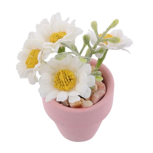 VICASKY Winzige Pflanzen Für Dollhouse Realistische Gänseblümchen -mittelstücke Für Tische Faux Mini Daisy Flowers Mini Topfblumen Modell Miniatur Bonsai VICASKY Winzige Pflanzen Für Dollhouse Realistische Gänseblümchen -mittelstücke Für Tische Faux Mini Daisy Flowers Mini Topfblumen Modell Miniatur Bonsai von VICASKY