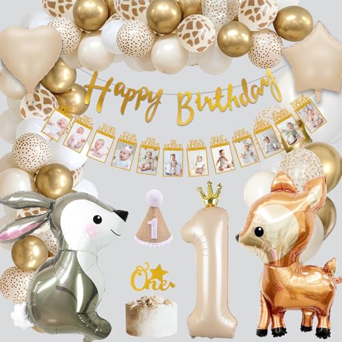 1. Geburtstag Junge Mädchen, Luftballon 1.Geburtstag, Geburtstagsdeko 1 Jahr Beige Gold Erster Geburtstag, mit Happy Birthday Girlande Fotogirlande Tortenaufsatz für Baby Kindergeburtstag 1 Jahr Deko 1. Geburtstag Junge Mädchen, Luftballon 1.Geburtstag, Geburtstagsdeko 1 Jahr Beige Gold Erster Geburtstag, mit Happy Birthday Girlande Fotogirlande Tortenaufsatz für Baby Kindergeburtstag 1 Jahr Deko von VICTERR
