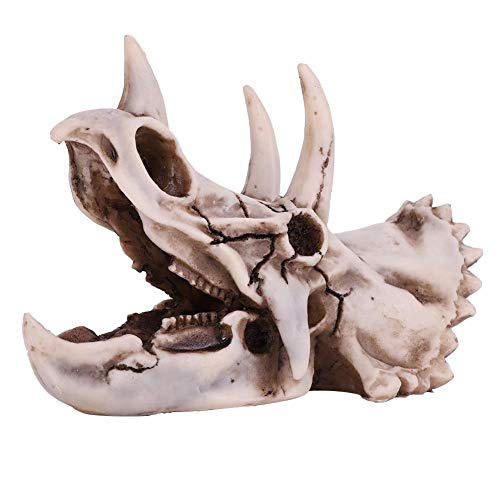 VIFERR Dinosaurier Schädel Modell Harz Dinosaurier Triceratops-Schädel-Zeichnung Prop Dekorative Fertigkeit Simuliertes Tierskelett Home Office Dekor Handwerk Lehre Prop für Innenministerium-Anzeige VIFERR Dinosaurier Schädel Modell Harz Dinosaurier Triceratops-Schädel-Zeichnung Prop Dekorative Fertigkeit Simuliertes Tierskelett Home Office Dekor Handwerk Lehre Prop für Innenministerium-Anzeige von VIFERR
