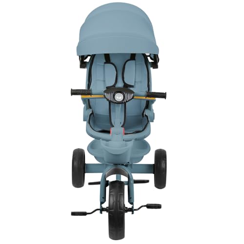 Baby-Dreirad, mitwachsendes Dreirad für Kinder, mit faltbarer Sonnenblende und verstellbarem Elternstock, Dreirad mit Pedalen und 5-Punkt-Gurten, Babyfahrrad, Körbe, 100 x 75 x 50 cm, Blau Baby-Dreirad, mitwachsendes Dreirad für Kinder, mit faltbarer Sonnenblende und verstellbarem Elternstock, Dreirad mit Pedalen und 5-Punkt-Gurten, Babyfahrrad, Körbe, 100 x 75 x 50 cm, Blau von VIIROUD