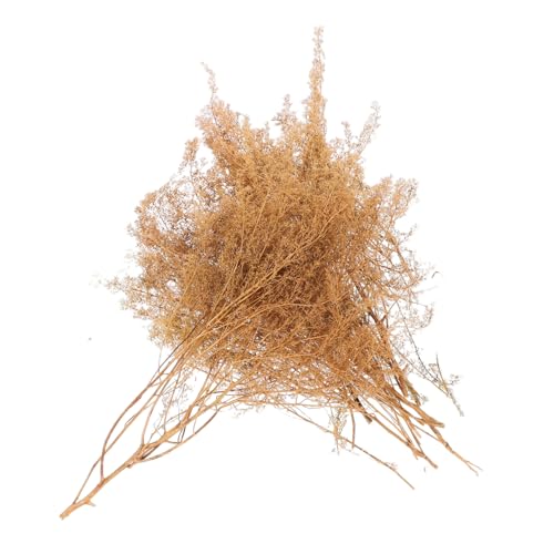 VILLFUL 1 Box Mikrolandschaft Baummodell Landschaft Grasmodell Landschaft DIY Gras Miniaturszene Gras Zugmodell Gras Kleine Grasdekoration Miniaturmodell Gras Miniaturgras von VILLFUL