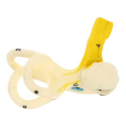 VILLFUL Anatomisches Inneres Ohrmodell Realistisches Menschliches Ohr Display Leichtes Stabiles Lehrmodell für und Unterricht Anschauliches Semizirkuläres Kanal Strukturmodell VILLFUL Anatomisches Inneres Ohrmodell Realistisches Menschliches Ohr Display Leichtes Stabiles Lehrmodell für und Unterricht Anschauliches Semizirkuläres Kanal Strukturmodell von VILLFUL