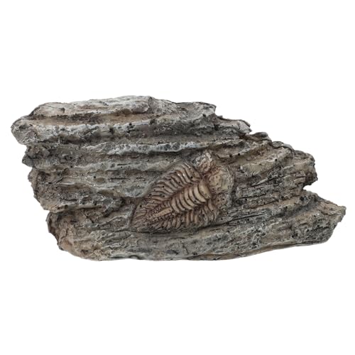 VILLFUL Trilobiten-exemplar Für Sammler Paläontologisches Ornament Dekoration Für Heimgebrauch von VILLFUL