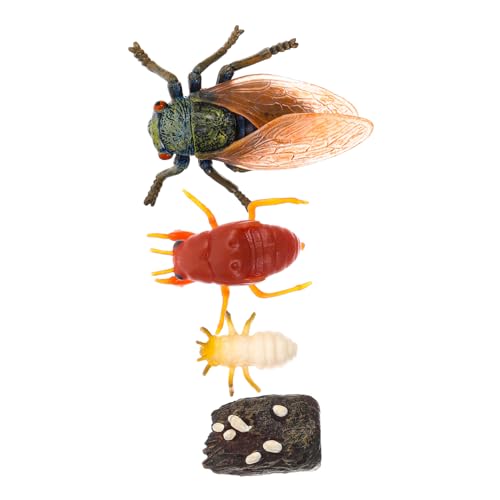 VINTORKY 1 Satz Modell des Wachstumszyklus Bildungsbedarf Kleinkind kindererziehung aufklärung Tiere Spielzeuge Simulations-Zikaden-Ornamente Simulation Tiermodell PVC VINTORKY 1 Satz Modell des Wachstumszyklus Bildungsbedarf Kleinkind kindererziehung aufklärung Tiere Spielzeuge Simulations-Zikaden-Ornamente Simulation Tiermodell PVC von VINTORKY