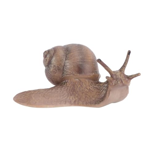 VINTORKY 1 Stück Realistische Schneckenfigur als Gartenornament Mikrolandschaft Dekoration für Kreative und Bonsai Kaffee VINTORKY 1 Stück Realistische Schneckenfigur als Gartenornament Mikrolandschaft Dekoration für Kreative und Bonsai Kaffee von VINTORKY