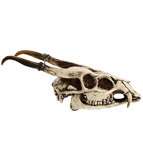 VINTORKY 1Stück Dekorativer Schädel aus Harz Kreatives Vintage Gestell für Halloween und Haushaltsdekoration Umweltfreundliches Material Langlebig und für Innen VINTORKY 1Stück Dekorativer Schädel aus Harz Kreatives Vintage Gestell für Halloween und Haushaltsdekoration Umweltfreundliches Material Langlebig und für Innen von VINTORKY