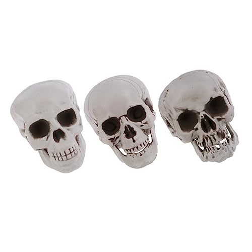 VINTORKY 3 Stück Teiliges Halloween Deko Plastikskelett Köpfe Realistische Schädel Modelle Gruselige Party Bar Schlafzimmer Dekoration VINTORKY 3 Stück Teiliges Halloween Deko Plastikskelett Köpfe Realistische Schädel Modelle Gruselige Party Bar Schlafzimmer Dekoration von VINTORKY