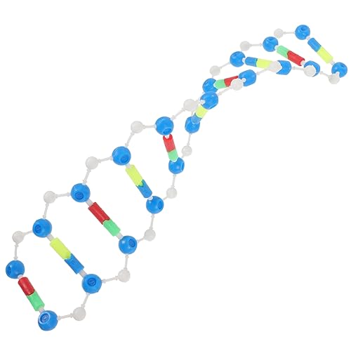 VINTORKY Bildungsmodell Komponenten des DNA-Doppelhelix-Modells DNA-Lehrmittel Wissenschaftlicher Modelle Lernhilfen für menschliche DNA naturwissenschaftliches Bildungsinstrument Motor von VINTORKY