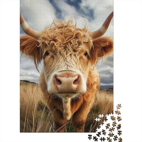 Puzzle für Erwachsene 1000 Teile Highland Cattle Puzzle Puzzle für Erwachsene Lernspiel Herausforderung Spielzeug 1000 Teile (75x50cm) von VMDUHFY