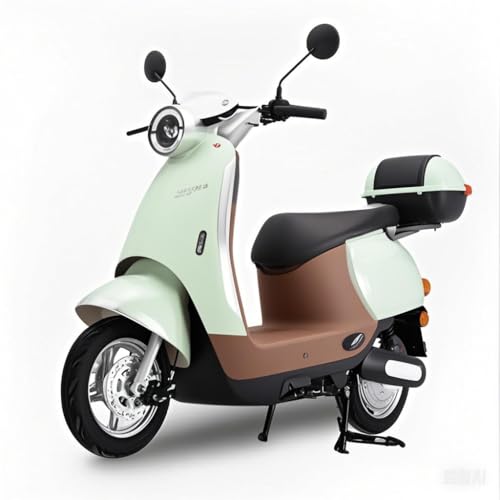 Leichtes Elektroauto, Elektromotorrad von VODTEPO