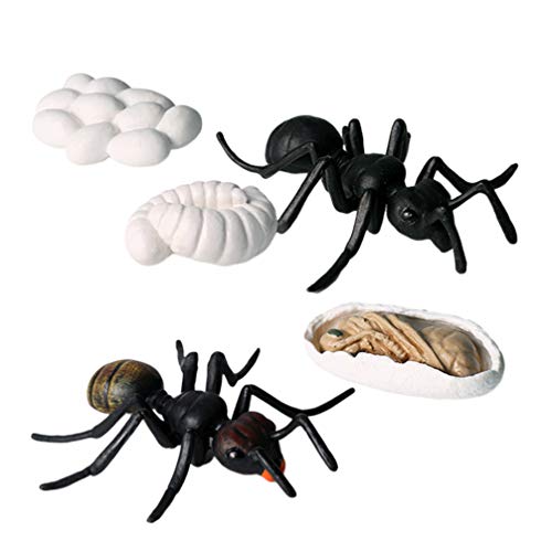 VOSAREA Ameise Wachstum Lebenszyklus Figur Spielzeug - Streich Lustige Neuheit Gefälschte Ameise - Event Party Zubehör Pädagogisches Modell für Halloween VOSAREA Ameise Wachstum Lebenszyklus Figur Spielzeug - Streich Lustige Neuheit Gefälschte Ameise - Event Party Zubehör Pädagogisches Modell für Halloween von VOSAREA