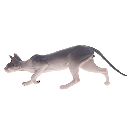 VOSAREA Kunstvolle Katzenfigur Realistisches Modell Haarlosen Dekorative Desktop Dekoration für zu Geburtstagen und Feiertagen Fördert Kreatives und Lernen VOSAREA Kunstvolle Katzenfigur Realistisches Modell Haarlosen Dekorative Desktop Dekoration für zu Geburtstagen und Feiertagen Fördert Kreatives und Lernen von VOSAREA