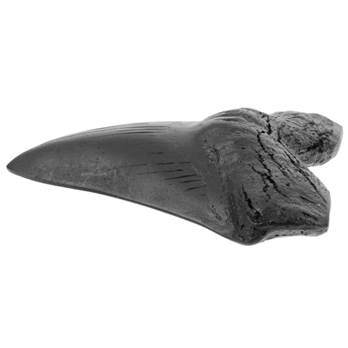 VOSAREA Megalodon-zahnfossil Tiere Figuren Modell Nachbildung Dekoration Probe Ornament Nachbaumodell Bausatz Neuheit-wohnkultur Schüler Unterrichten Paläontologie Black Harz VOSAREA Megalodon-zahnfossil Tiere Figuren Modell Nachbildung Dekoration Probe Ornament Nachbaumodell Bausatz Neuheit-wohnkultur Schüler Unterrichten Paläontologie Black Harz von VOSAREA