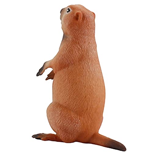 VOSAREA Murmeltier Statue Aus Realistische Wildtierfigur Für Garten Und Wohnraumdekoration Lebensechte Tierfigur Für Naturliebhaber Und Sammler Ideal Als VOSAREA Murmeltier Statue Aus Realistische Wildtierfigur Für Garten Und Wohnraumdekoration Lebensechte Tierfigur Für Naturliebhaber Und Sammler Ideal Als von VOSAREA