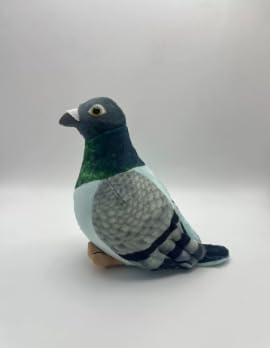 Plüsch Taube Spielzeug 20 cm,Kuscheltier Taube,Taube Plüschpuppe, Taube Plüschspielzeug,Vogel Plüschtier,pigeon,Plüschtaube Plüschvogel für Freunde und Kinder Lustige Spielkameraden Zimmer Dekoration von VOSSOT