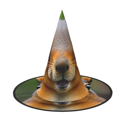 VPPUR Eichhörnchen Lustiger Tierdruck Zauberer Hut Erwachsene Karneval Halloween Hut Party Zubehör Mottopartys Cosplay von VPPUR