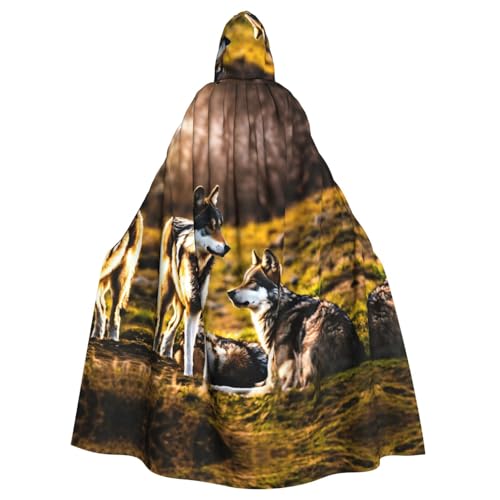 VPPUR Umhang mit Wolfsaufdruck, mit Kapuze, für Damen und Herren, Halloween, Cosplay, Karneval, Partys, Themenveranstaltungen VPPUR Umhang mit Wolfsaufdruck, mit Kapuze, für Damen und Herren, Halloween, Cosplay, Karneval, Partys, Themenveranstaltungen von VPPUR