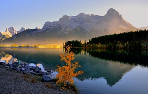 1000-teiliges Puzzle für Erwachsene, Familien-Puzzlespiel zum Stressabbau, schwieriges Herausforderungspuzzle für Erwachsene und Kinder, Bäume, Berge, Kanada, Canmore, Grassi Lake, 70 x 50 cm 1000-teiliges Puzzle für Erwachsene, Familien-Puzzlespiel zum Stressabbau, schwieriges Herausforderungspuzzle für Erwachsene und Kinder, Bäume, Berge, Kanada, Canmore, Grassi Lake, 70 x 50 cm von VRYOP