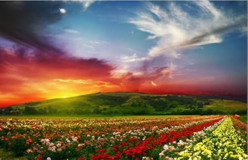 Puzzle 1000 Teile Blumen-Sonnenuntergangslandschaft Poster-Puzzle für Erwachsene Lernspiel Familiendekompressionsspielzeug Xy9Wk 38x52CM von VRYOP