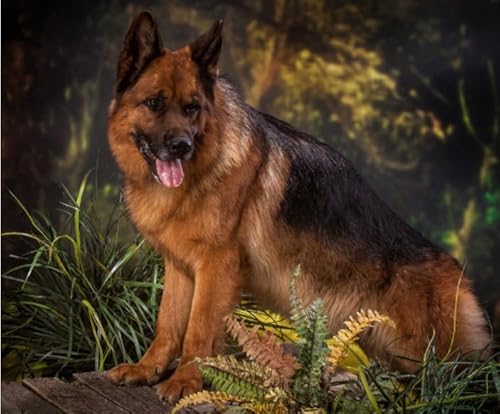 Puzzle 1000 Teile Tierhund-Poster Puzzle für Erwachsene Lernspiel Familiendekompressionsspielzeug Qp332Ws 38x26CM Puzzle 1000 Teile Tierhund-Poster Puzzle für Erwachsene Lernspiel Familiendekompressionsspielzeug Qp332Ws 38x26CM von VRYOP
