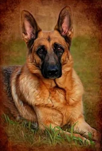 Puzzle 1000 Teile Tierhund-Poster-Puzzle für Erwachsene Lernspiel Familiendekompressionsspielzeug Qp334Ws 38x52CM Puzzle 1000 Teile Tierhund-Poster-Puzzle für Erwachsene Lernspiel Familiendekompressionsspielzeug Qp334Ws 38x52CM von VRYOP