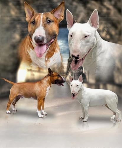 Puzzle 1000 Teile Tierhunde Poster Puzzle für Erwachsene Lernspiel Familiendekompressionsspielzeug Gq418Zy 38x52CM Puzzle 1000 Teile Tierhunde Poster Puzzle für Erwachsene Lernspiel Familiendekompressionsspielzeug Gq418Zy 38x52CM von VRYOP