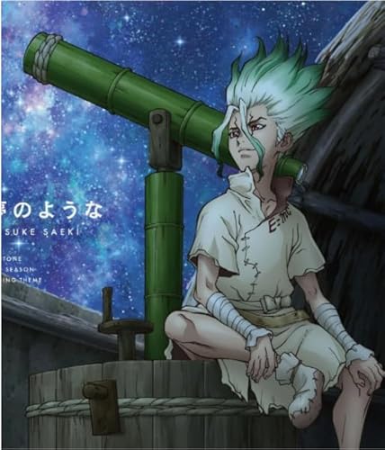 Puzzle 2000 Teile, Japanisches Anime-Poster „Dr. Stone“, lustiges Puzzlespielzeug für Erwachsene, Vf15Np, 100 x 70 cm von VRYOP