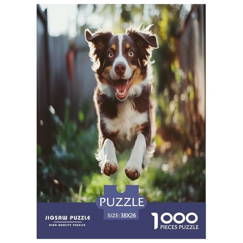 Australischer Schäfer Puzzles 1000 Teile Schwer Puzzle Spielzeug Lernspiel Impossible Herausforderung Spielzeug Für Erwachsene Kinder 38x26cm/1000pcs von VUDBELAFC