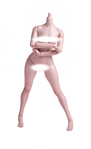 VUSLA worldbox AT202 1/6 Scale Female Seamless Body 12 Inch Collectible Doll Fat Leg Version (Pale Skin) von VUSLA