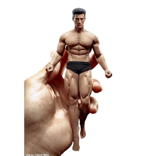 VUSLB 1/12 Scale ActionFigurn Body 6inch Mann Super-Flexible Seamless Strong Muscle Man militär Body Doll Full Set Toys Collection (Pale Muscle) von VUSLB