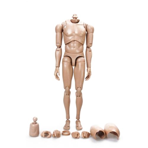 VUSLB 1/6 Scale Mann militär Muscular Body Model 12 inch Europe Skin Mann Flexible ActionFigurn Body MX02-A/B Collectible Without Kopf (Brown MX02-B) von VUSLB