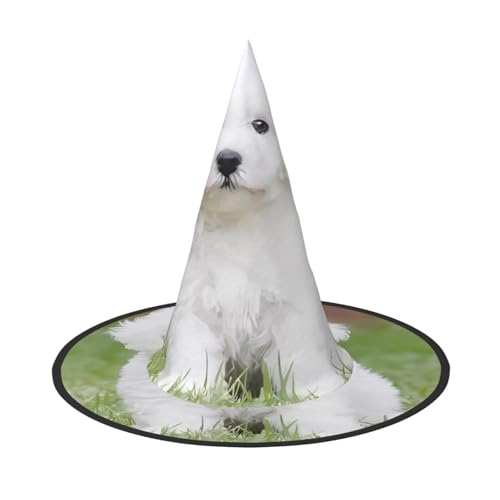 VXXNlnn 1 PC Halloween Hut - Hexen Bichon Frisé Hund Druck Dekor Party Cosplay Rollenspiel Festival Karneval Stirnband für Festlich Ostern VXXNlnn 1 PC Halloween Hut - Hexen Bichon Frisé Hund Druck Dekor Party Cosplay Rollenspiel Festival Karneval Stirnband für Festlich Ostern von VXXNlnn