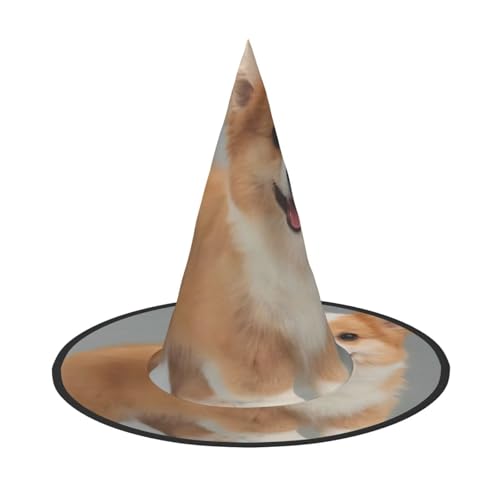 VXXNlnn 1 x Halloween-Hut – Hexen niedlicher Corgi-Golddruck Dekor Party, Cosplay, Rollenspiel, Festival, Karneval, Stirnband für Feste, Ostern VXXNlnn 1 x Halloween-Hut – Hexen niedlicher Corgi-Golddruck Dekor Party, Cosplay, Rollenspiel, Festival, Karneval, Stirnband für Feste, Ostern von VXXNlnn