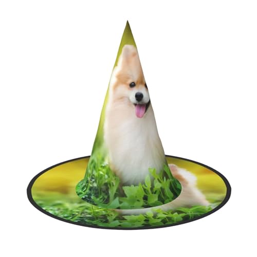 VXXNlnn 3 Stück Halloween-Hut – Hexen niedlicher flauschiger Welpe Hund Druck Dekor Party Cosplay Rollenspiel Festival Karneval Stirnband für Feste, Ostern von VXXNlnn