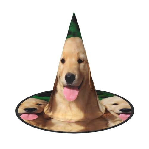 VXXNlnn Halloween-Hut – Hexen Golden Retriever Hunde Druck Dekor Party, Cosplay, Rollenspiel, Festival, Karneval, Stirnband für Feste, Ostern, 2 Stück VXXNlnn Halloween-Hut – Hexen Golden Retriever Hunde Druck Dekor Party, Cosplay, Rollenspiel, Festival, Karneval, Stirnband für Feste, Ostern, 2 Stück von VXXNlnn