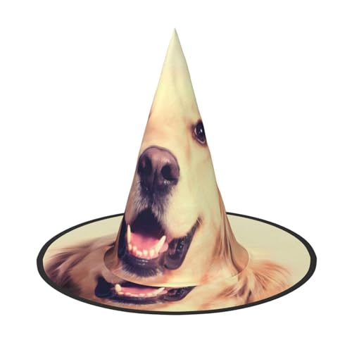 VXXNlnn Halloween-Hut – Hexen mit schönem Golden Retriever-Hunde-Druck, Dekoration, Party, Cosplay, Rollenspiel, Festival, Karneval, Stirnband für Feste, Ostern, 2 Stück von VXXNlnn