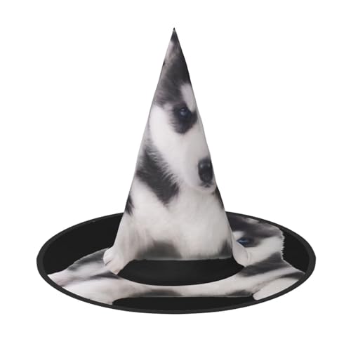 VXXNlnn Halloween-Hut – Hexenhut mit niedlichem Hunde-Druck, Dekoration, Party, Cosplay, Rollenspiel, Festival, Karneval, Stirnband für Feste, Ostern, 2 Stück VXXNlnn Halloween-Hut – Hexenhut mit niedlichem Hunde-Druck, Dekoration, Party, Cosplay, Rollenspiel, Festival, Karneval, Stirnband für Feste, Ostern, 2 Stück von VXXNlnn