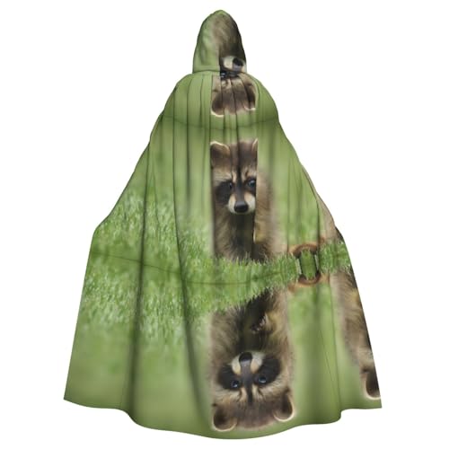 VXXNlnn Unisex Erwachsene Halloween Kapuzenumhang - Waschbär Volldruck Cosplay Umhang für Partys, Karneval & Themenveranstaltungen VXXNlnn Unisex Erwachsene Halloween Kapuzenumhang - Waschbär Volldruck Cosplay Umhang für Partys, Karneval & Themenveranstaltungen von VXXNlnn