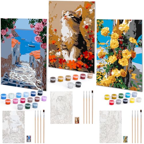 VYYTYYA Malen Nach Zahlen Erwachsene mit Rahmen, 3er-Pack Malen nach Zahlen Kits, DIY 20x30cm Leinwand Ölmalerei-Set für Kinder oder Anfänger mit 4 Pinseln und Acrylfarbe VYYTYYA Malen Nach Zahlen Erwachsene mit Rahmen, 3er-Pack Malen nach Zahlen Kits, DIY 20x30cm Leinwand Ölmalerei-Set für Kinder oder Anfänger mit 4 Pinseln und Acrylfarbe von VYYTYYA