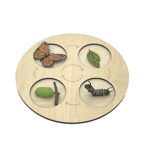 VZZCGJVT Montessori Lebenszyklus des Handlungsmodells mit Tablett, Simulation des Wachstumszyklus von Tieren, Kleinkind-Bildungskit,Butterflies von VZZCGJVT