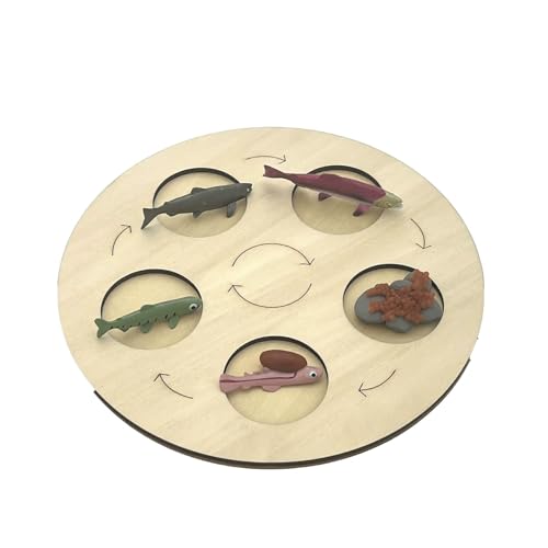 VZZCGJVT Montessori Lebenszyklus des Handlungsmodells mit Tablett, Simulation des Wachstumszyklus von Tieren, Kleinkind-Bildungskit,Fish von VZZCGJVT