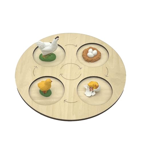 VZZCGJVT Montessori Lebenszyklus des Handlungsmodells mit Tablett, Simulation des Wachstumszyklus von Tieren, Kleinkind-Bildungskit,Hen von VZZCGJVT
