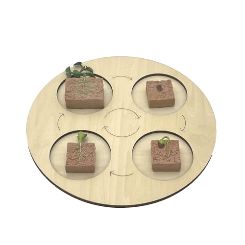 VZZCGJVT Montessori Lebenszyklus des Handlungsmodells mit Tablett, Simulation des Wachstumszyklus von Tieren, Kleinkind-Bildungskit,Plant von VZZCGJVT