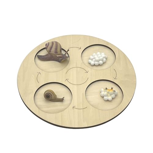 VZZCGJVT Montessori Lebenszyklus des Handlungsmodells mit Tablett, Simulation des Wachstumszyklus von Tieren, Kleinkind-Bildungskit,Snail von VZZCGJVT