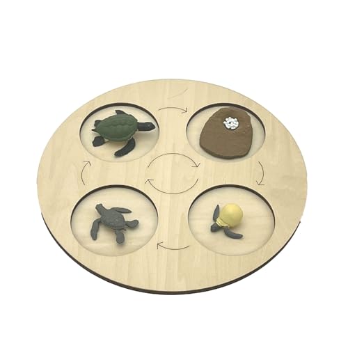 VZZCGJVT Montessori Lebenszyklus des Handlungsmodells mit Tablett, Simulation des Wachstumszyklus von Tieren, Kleinkind-Bildungskit,Turtle von VZZCGJVT