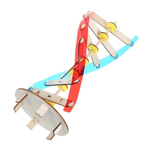 Vaguelly 1 Satz DNA Modell DIY Doppelte Helix Struktur für Wissenschaftskompetenz für Unterricht und Experimente Holzversion Vaguelly 1 Satz DNA Modell DIY Doppelte Helix Struktur für Wissenschaftskompetenz für Unterricht und Experimente Holzversion von Vaguelly
