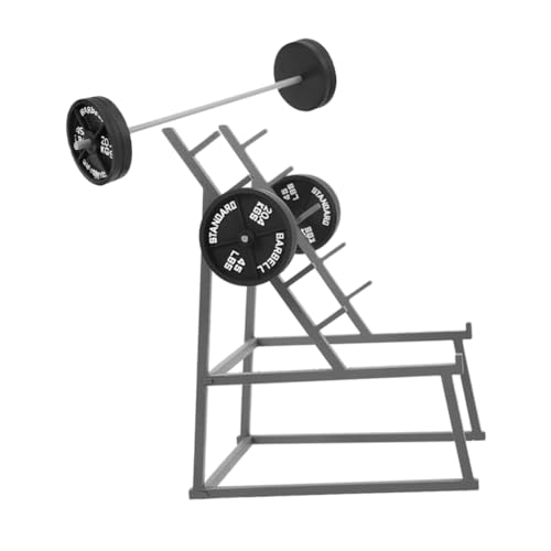 Vaguelly 1satz Miniatur-Barbell Für Puppenhaus Teiliges Fitness Zubehör Dekorative Miniatur Für Gym Spielzeug Und Fotorequisiten Für Puppenhaus Deko von Vaguelly