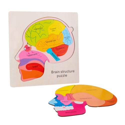 Vaguelly 1 Satz Gehirnstruktur-Puzzle Für Die Gehirnstruktur Von Kindern Gehirnstrukturspielzeug Gehirnstrukturmodell Für Puzzle Für Gehirnstrukturmodelle Holz Vaguelly 1 Satz Gehirnstruktur-Puzzle Für Die Gehirnstruktur Von Kindern Gehirnstrukturspielzeug Gehirnstrukturmodell Für Puzzle Für Gehirnstrukturmodelle Holz von Vaguelly
