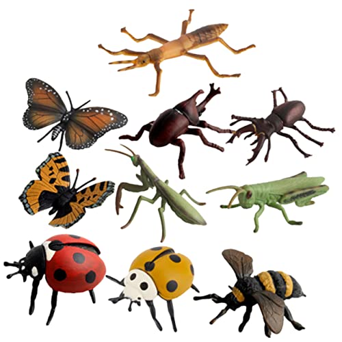Vaguelly 1 Satz Kognitives Modell Von Insekten Kleines Tiermodell Nachgemachtes Plastikkäfer Lebensechtes Modell Plastikspielzeug Modellierspielzeug Sandtisch Stütze PVC Vaguelly 1 Satz Kognitives Modell Von Insekten Kleines Tiermodell Nachgemachtes Plastikkäfer Lebensechtes Modell Plastikspielzeug Modellierspielzeug Sandtisch Stütze PVC von Vaguelly